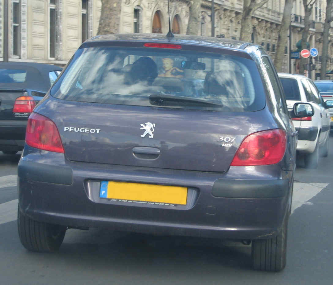 z 307 97